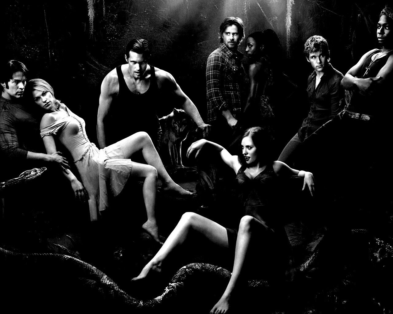 True blood обои