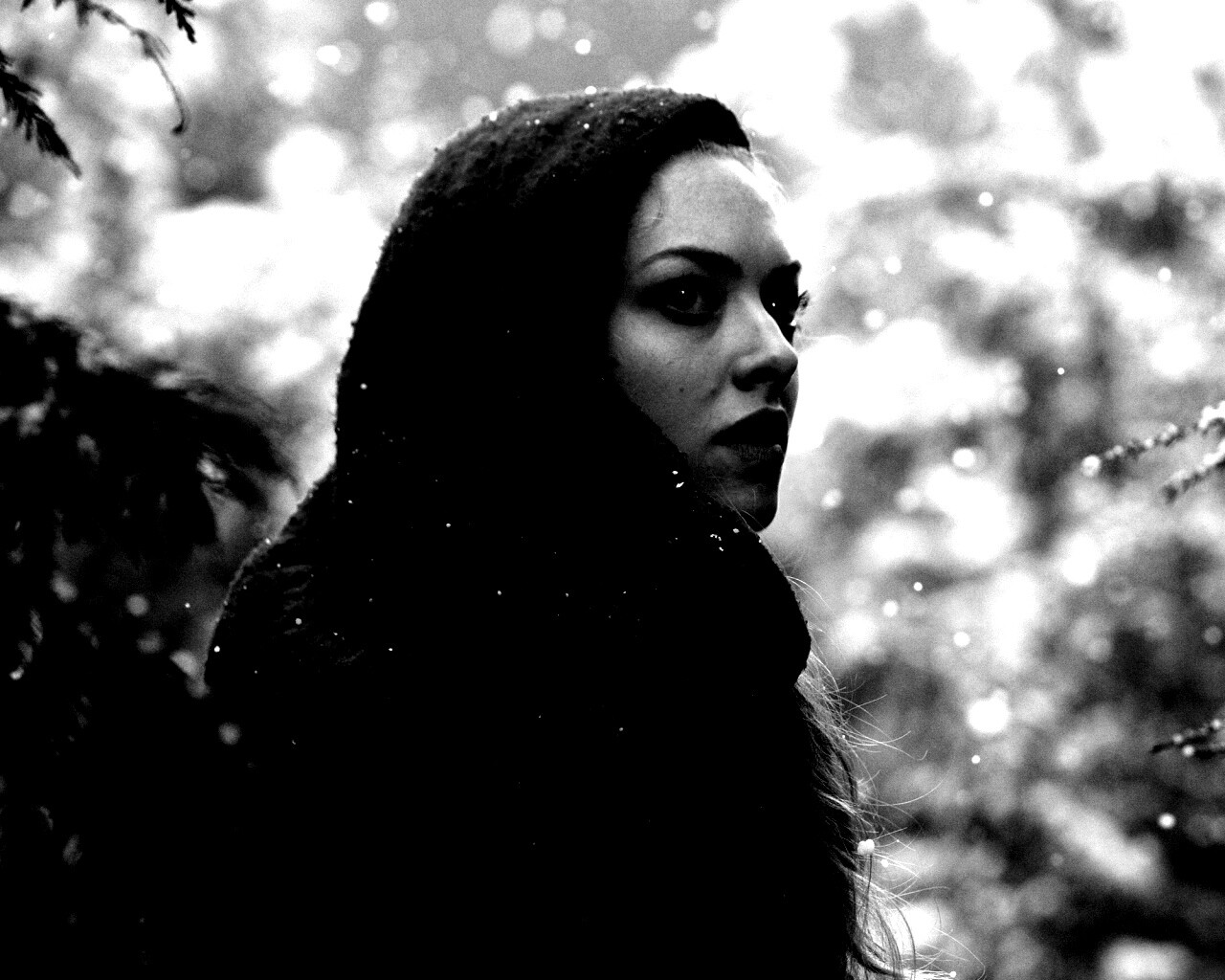 Amanda Seyfried in Red Riding Hood обои