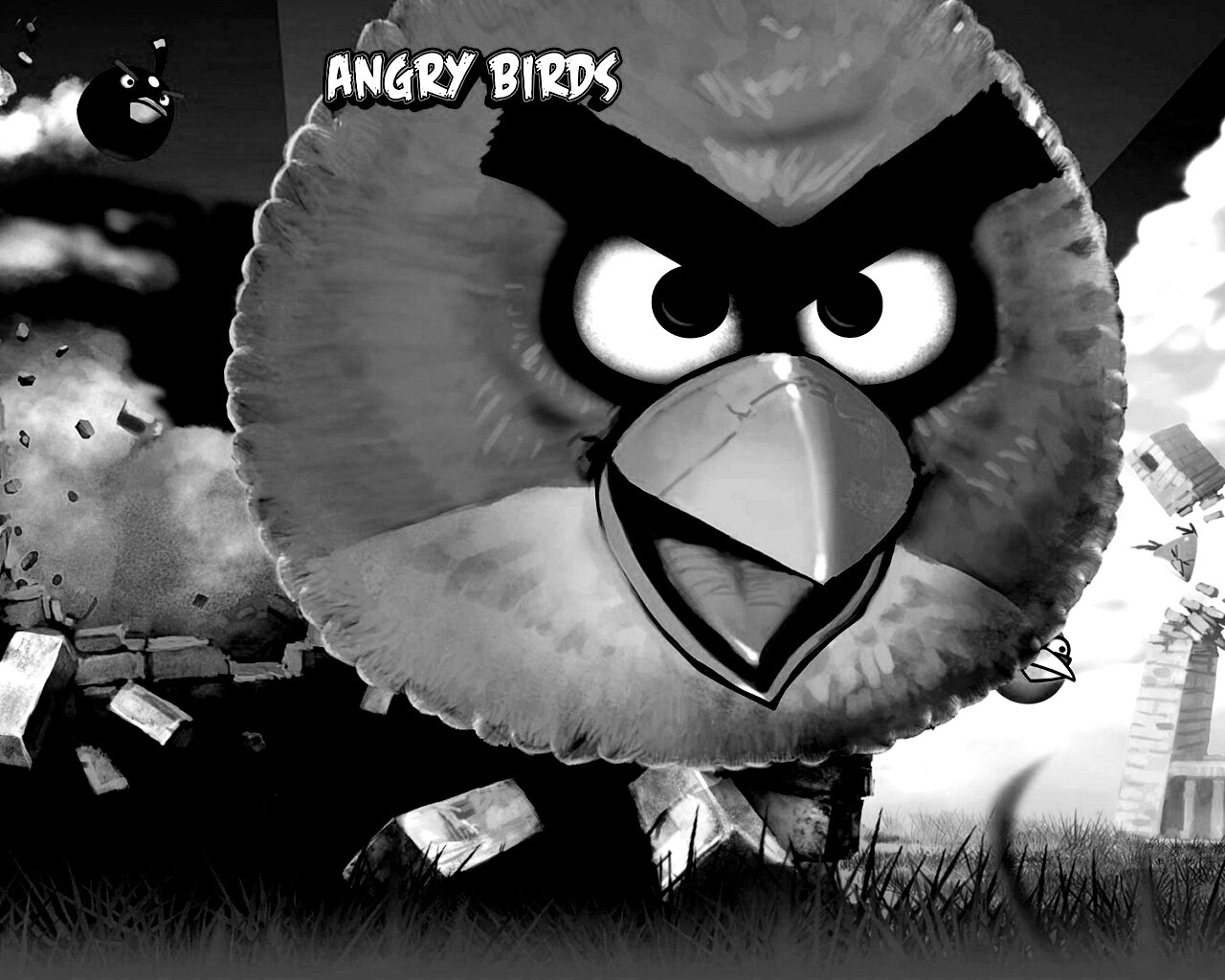 Angry Birds обои