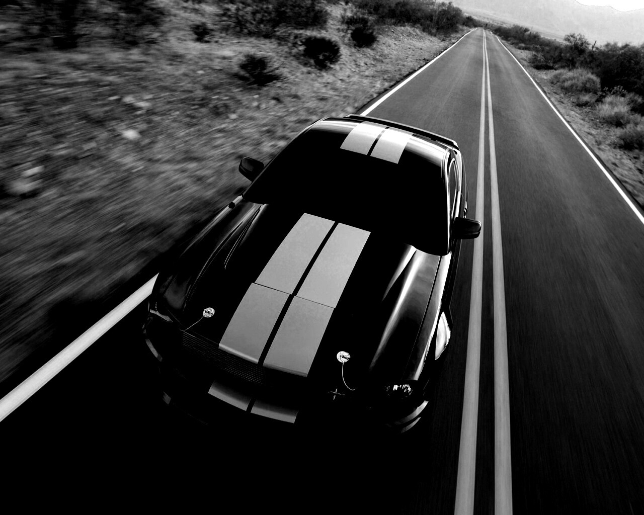 Ford Mustang  с гоночными полосками обои