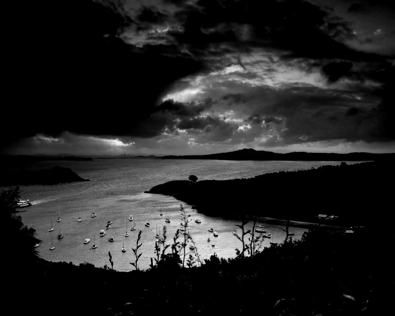 Waiheke Island, New Zealand обои