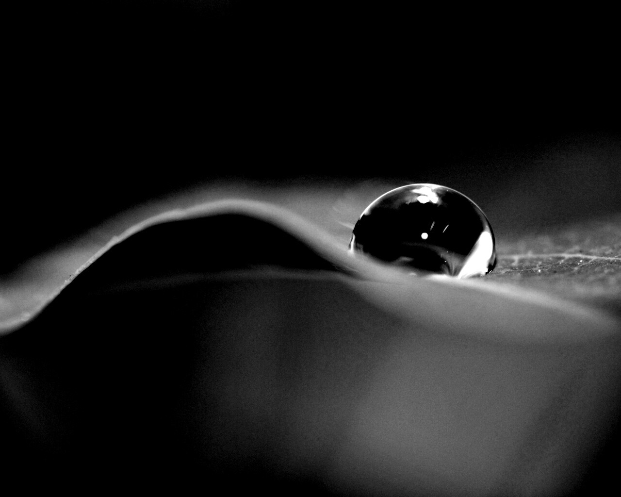 Фотография капли воды в макро обои