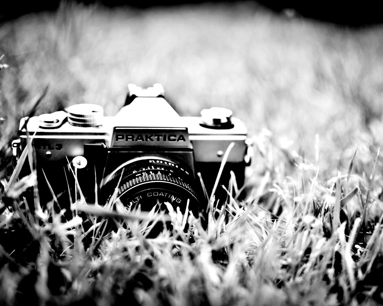 Фотоаппарат Praktica в траве обои