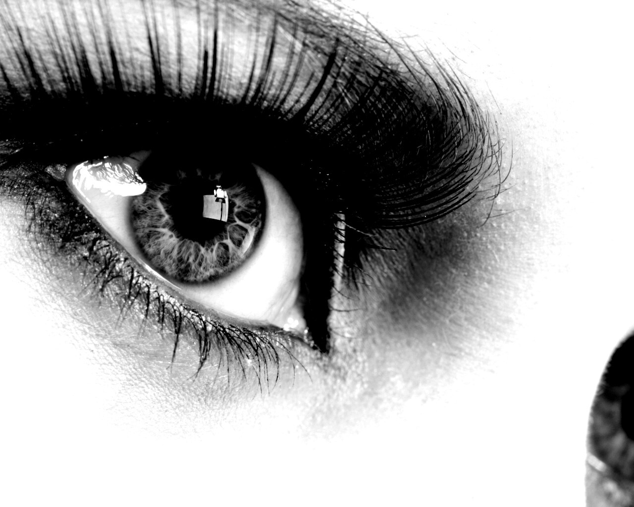 Глаза цвета стали обои