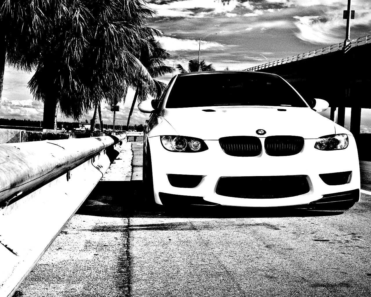 BMW в тропиках обои