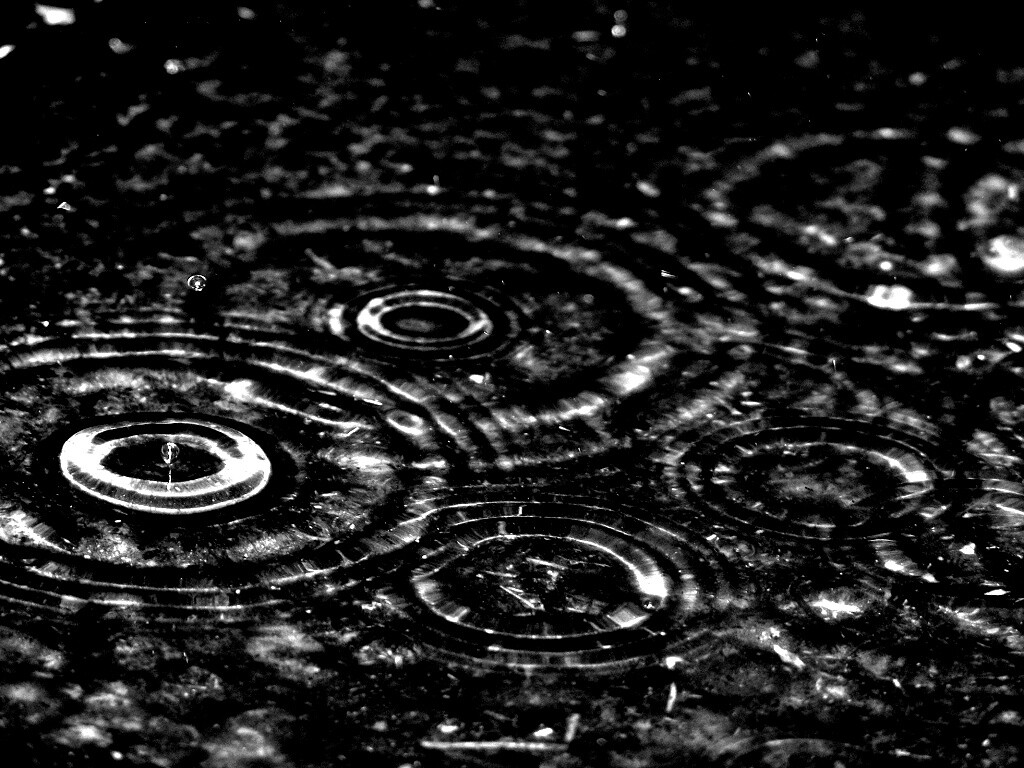 Круги на воде обои