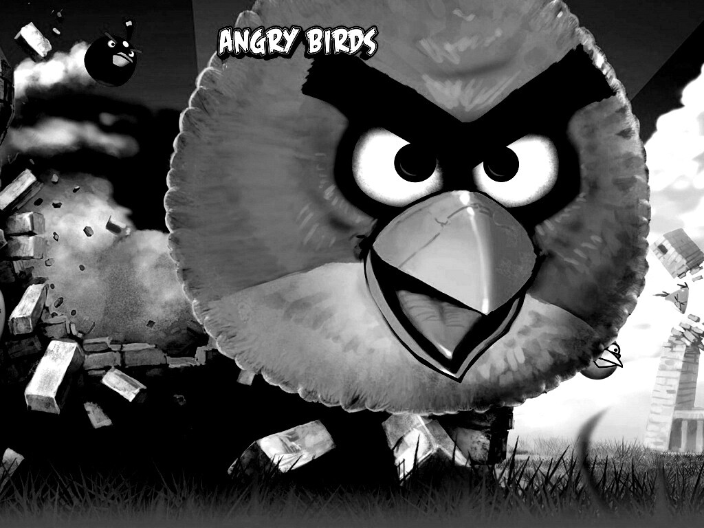 Angry Birds обои