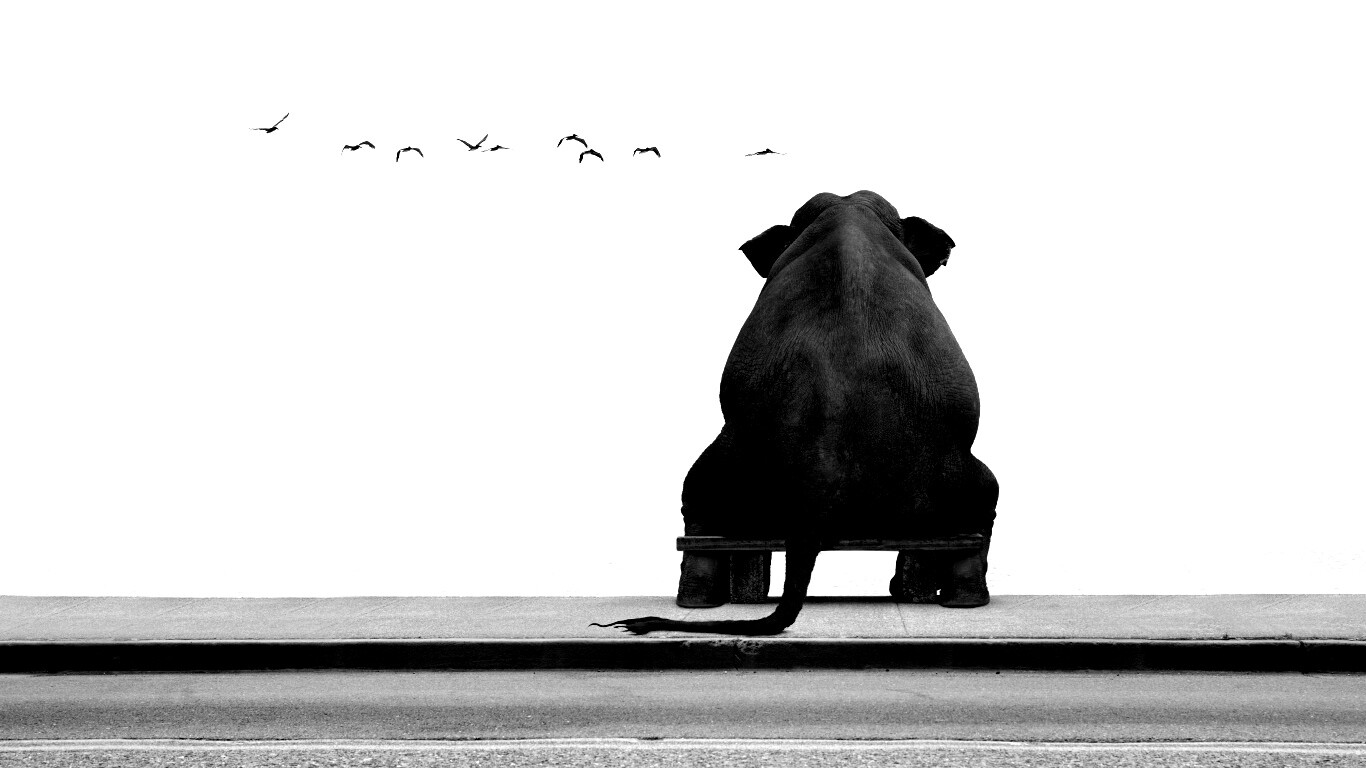 Слон на табуретке обои