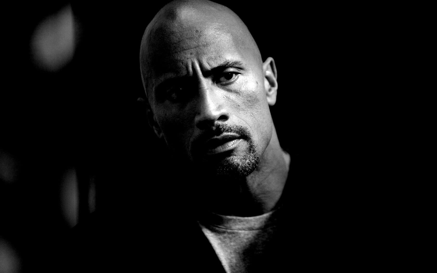 Dwayne johnson, Actor, Bald, Hair, Celebrity обои