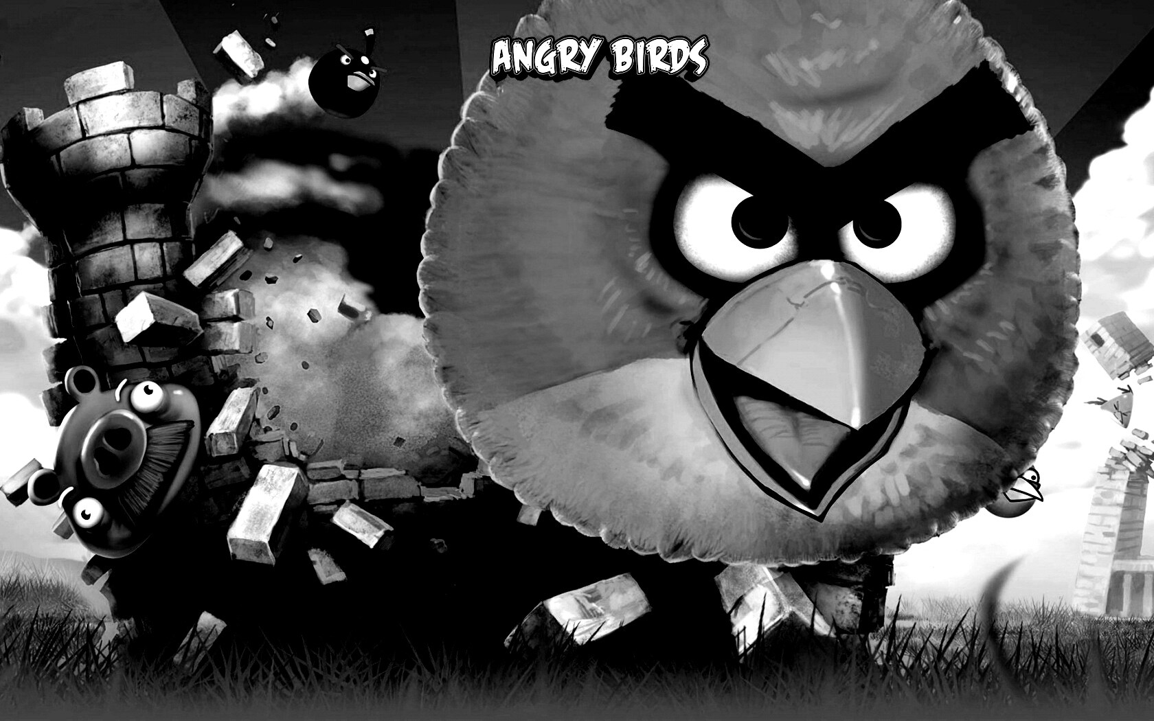 Angry Birds обои