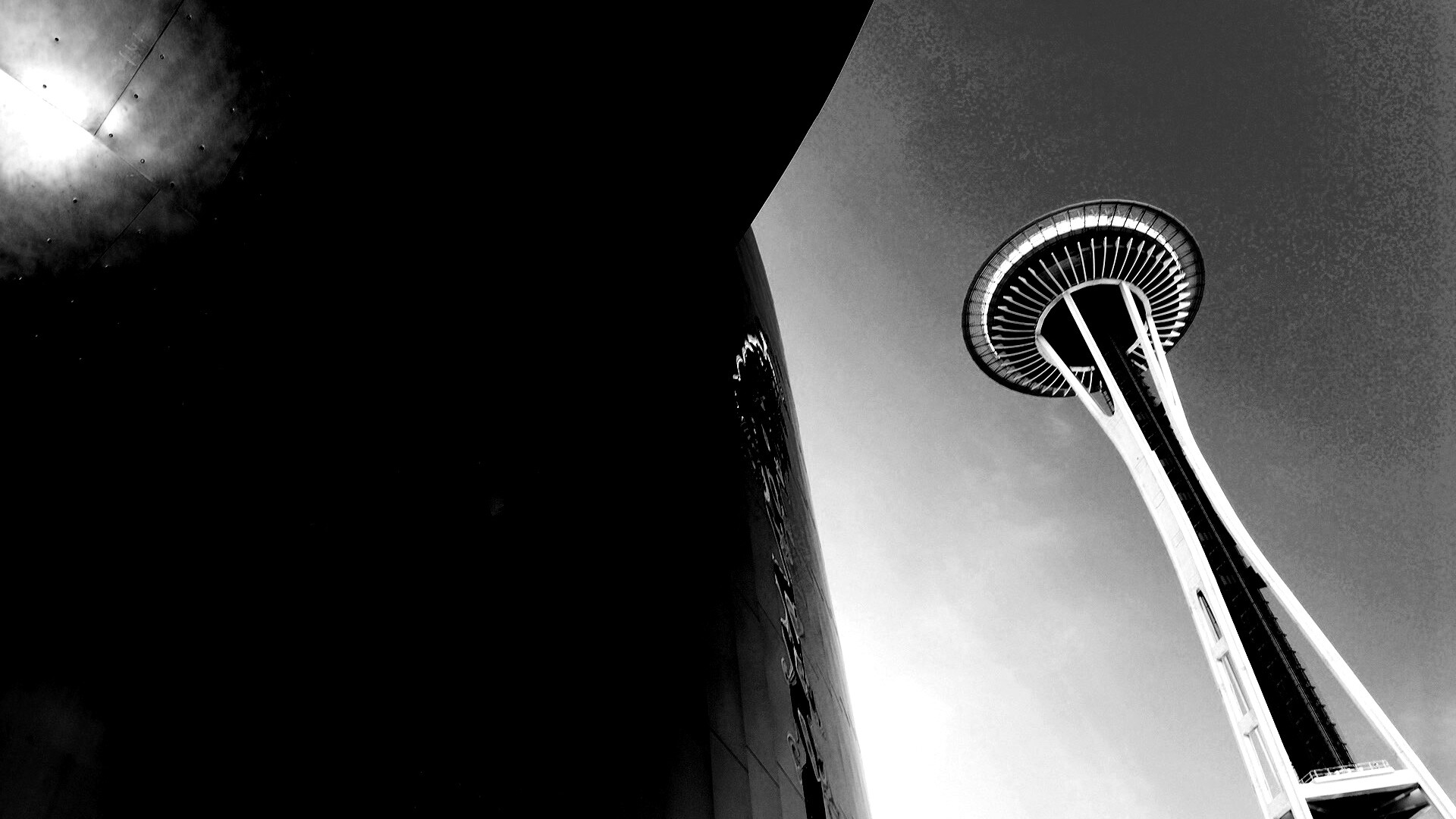 Space Needle Tower обои
