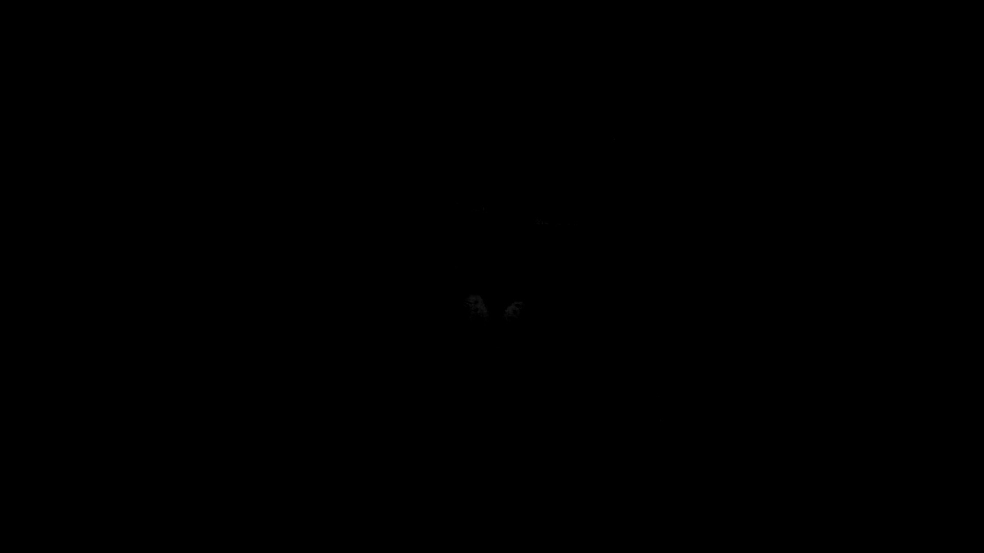 Кот в сапогах обои