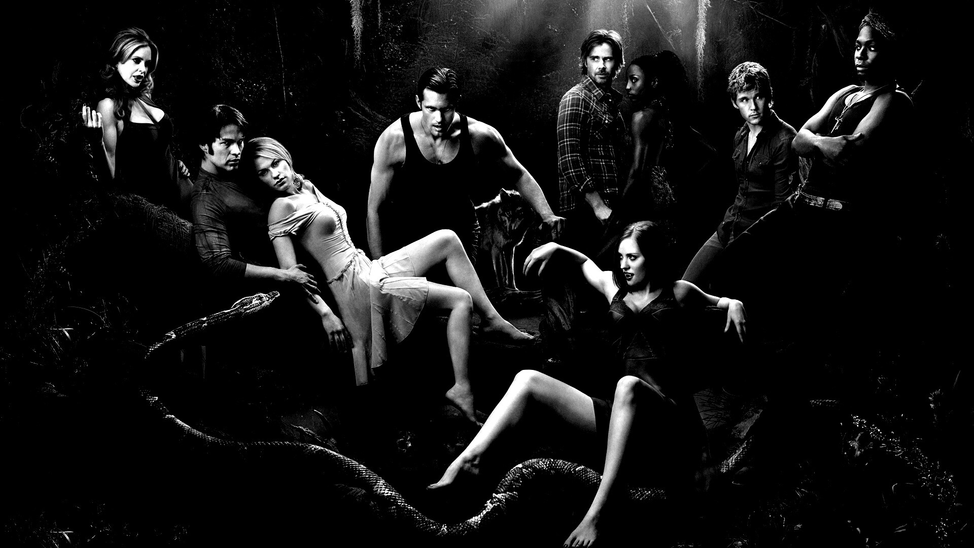 True blood обои