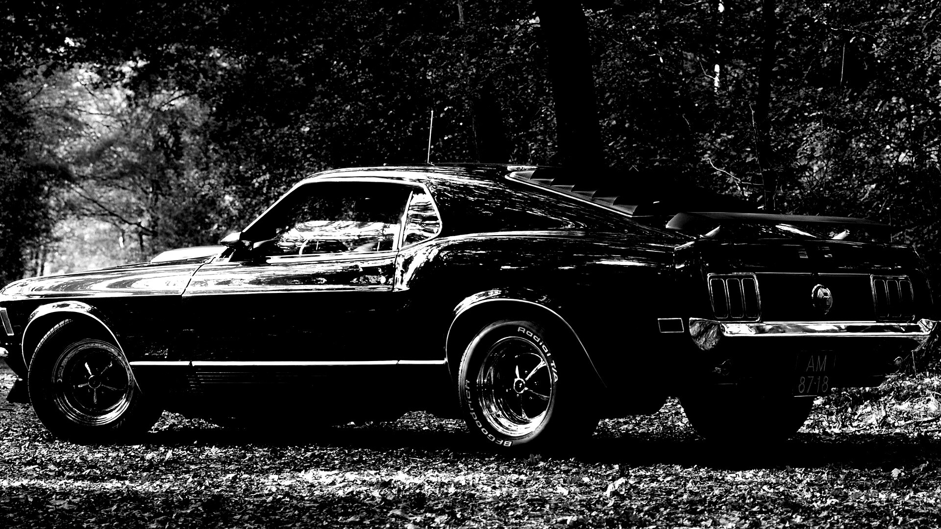 Ford обои