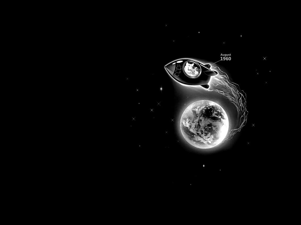 Белка и Стрелка летят в космос обои