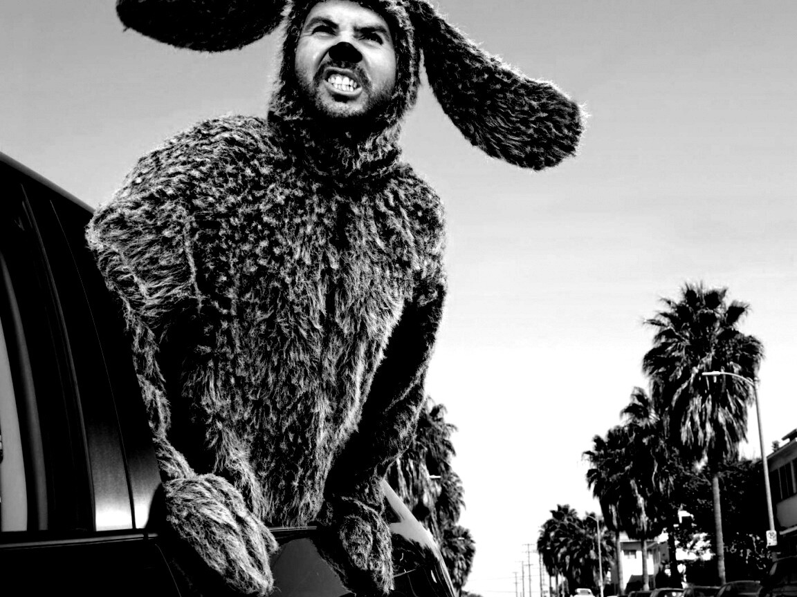 Wilfred обои