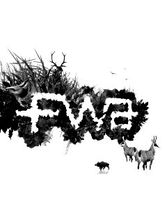 FWA обои