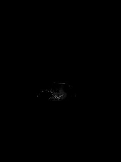 Сложная жизнь тираннозавра обои