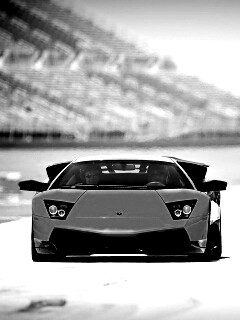 Lamborghini Murcielago обои