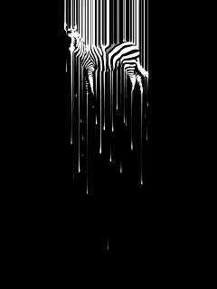 Креативное изображение зебры обои