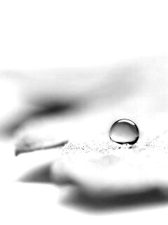 Капля на замёрзжем листе обои