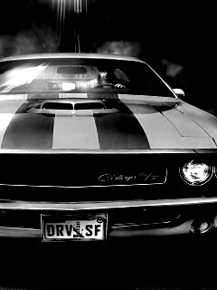 Driver San Francisco Challenger обои