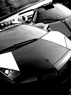 Полицейская погоня из Need For Speed обои