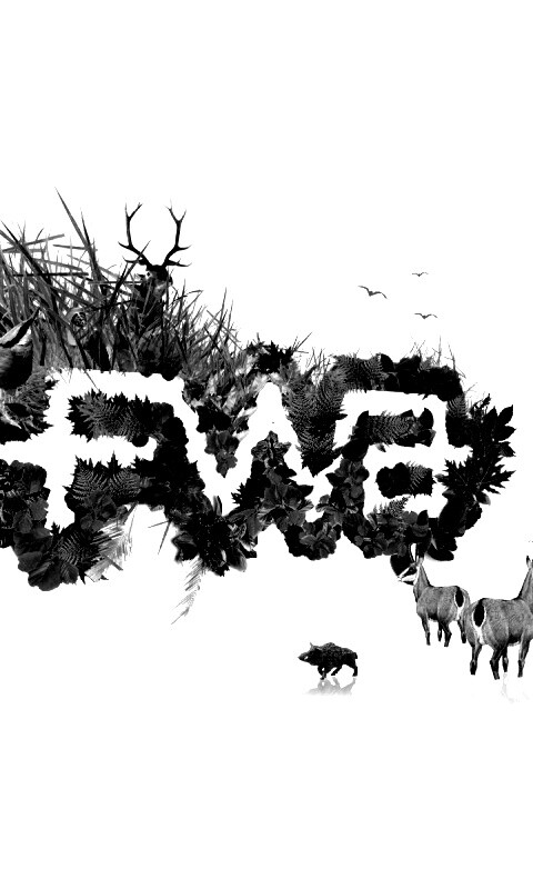 FWA обои