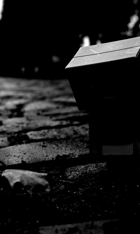 Danbo и первый осенний лист обои