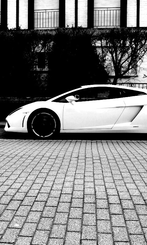 Белый Lamborghini обои