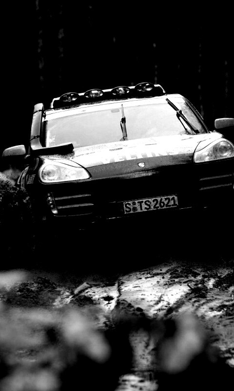 Ралли Porsche обои