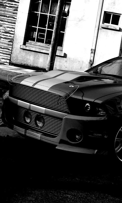 Ford Mustang обои