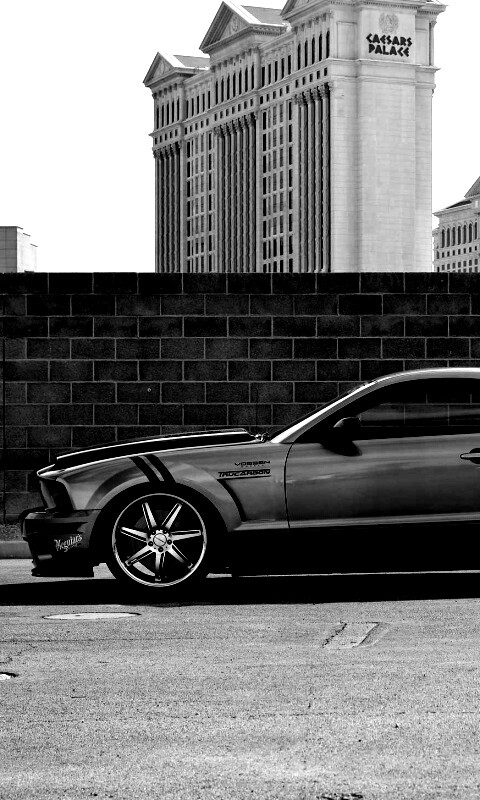 Ford Mustang обои
