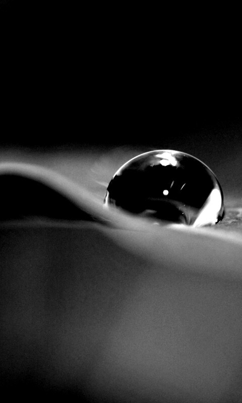 Фотография капли воды в макро обои