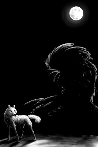 Волк и лев при луне обои