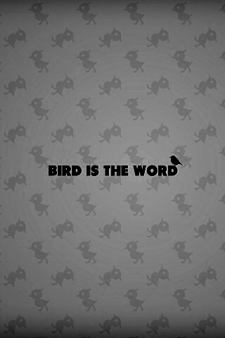 Bird is the word обои