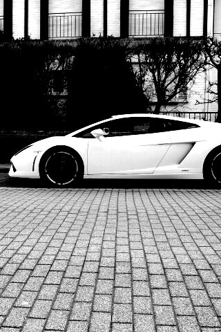 Белый Lamborghini обои