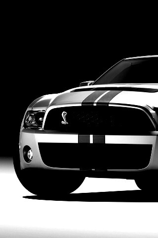 Shelby GT500 обои