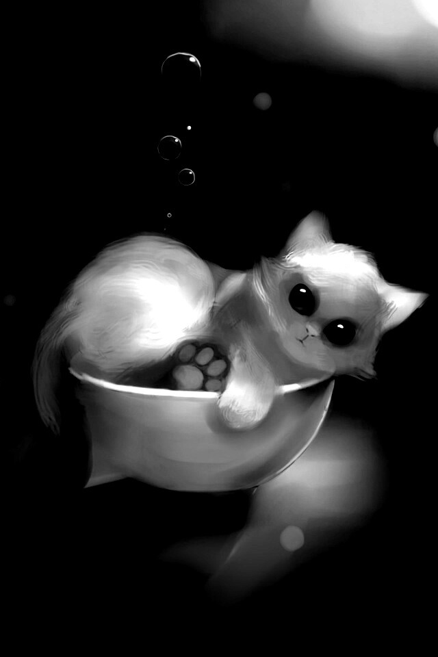 Котёнок в миске обои