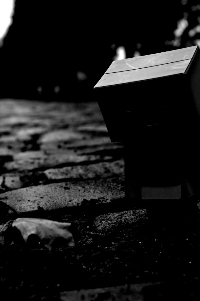 Danbo и первый осенний лист обои