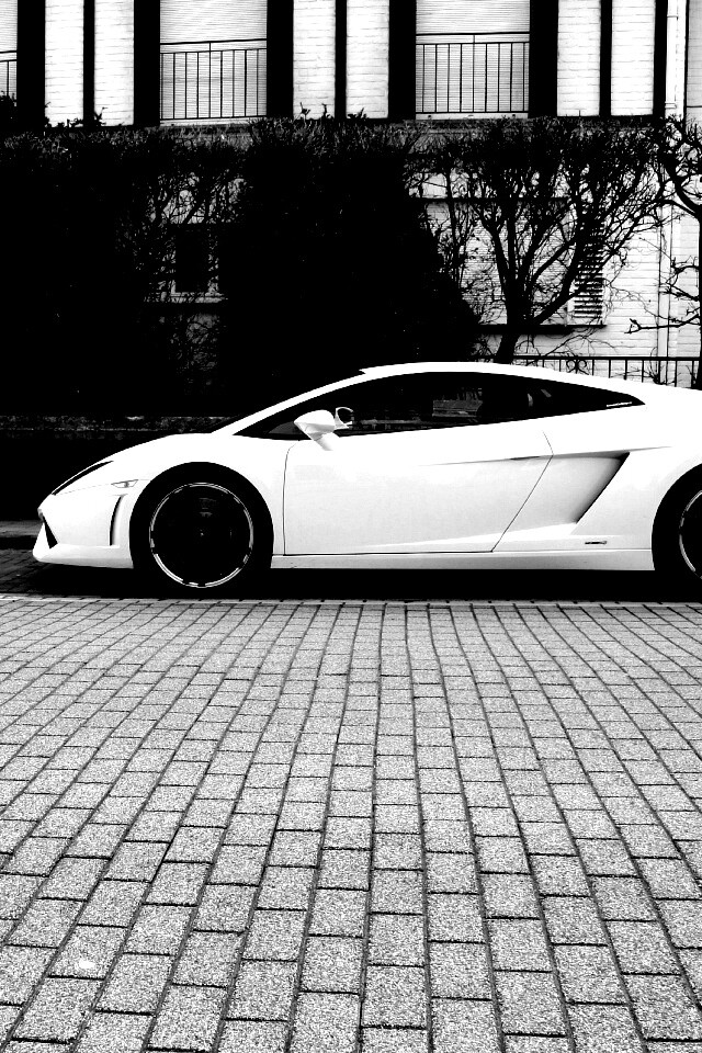 Белый Lamborghini обои