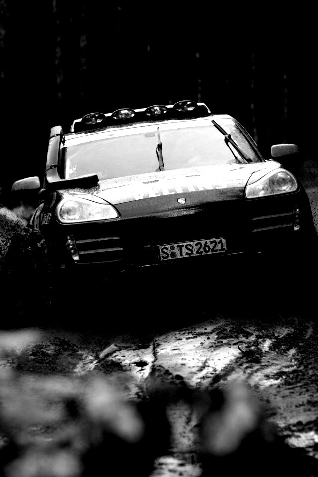 Ралли Porsche обои