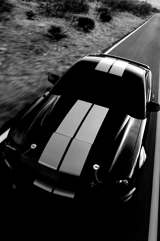 Ford Mustang  с гоночными полосками обои