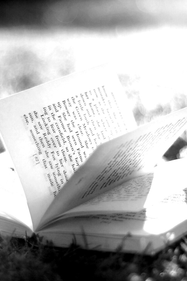 Книга в нежном свете обои