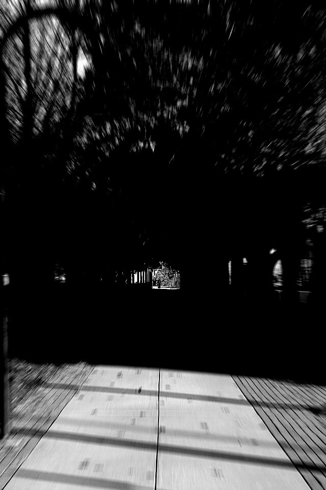 В парке обои