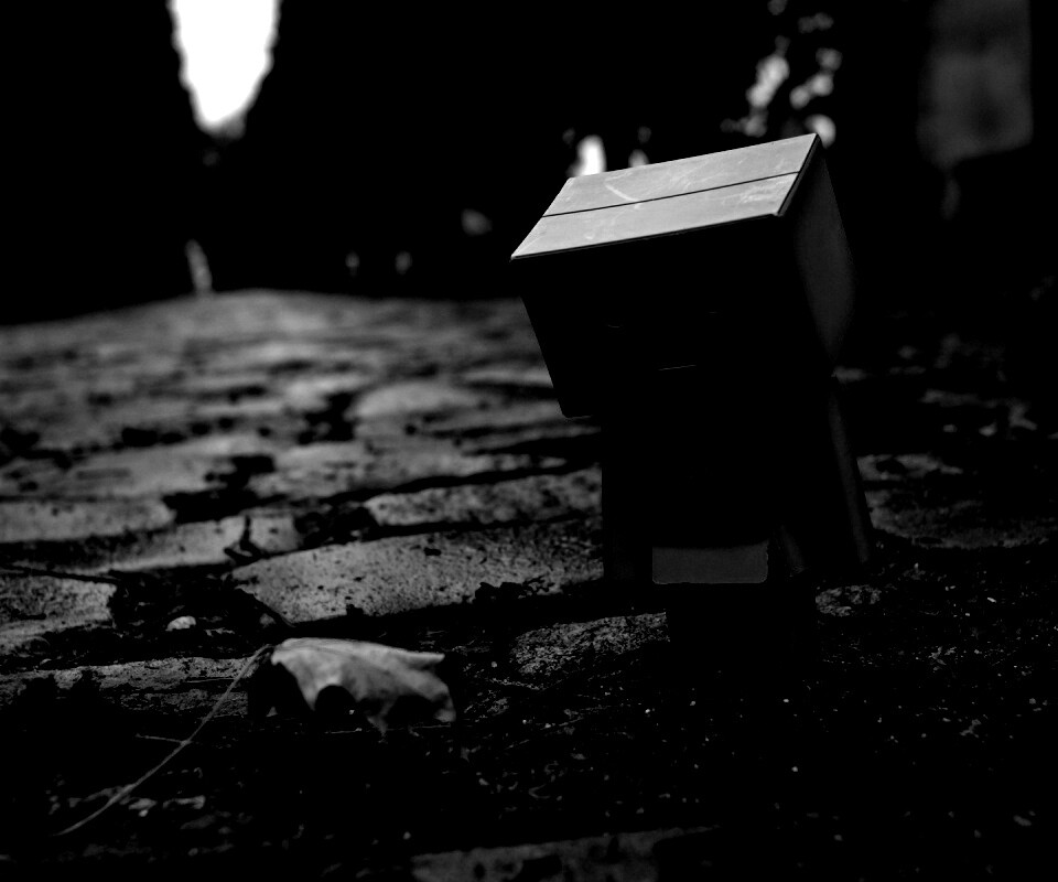 Danbo и первый осенний лист обои
