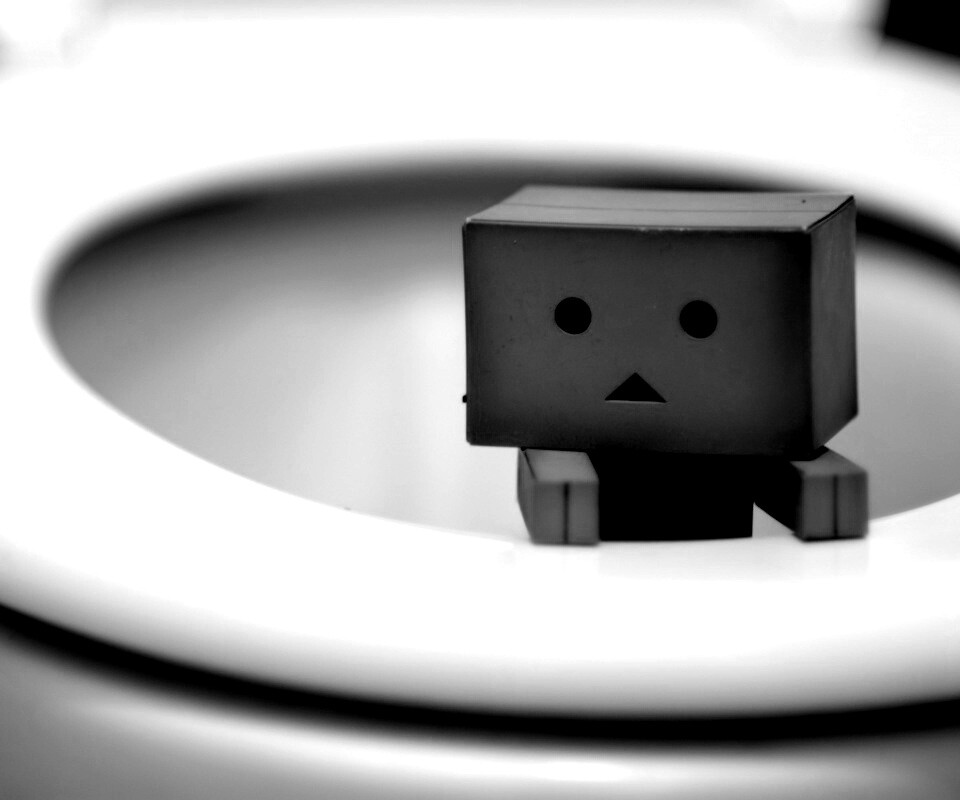 Danbo в унитазе обои