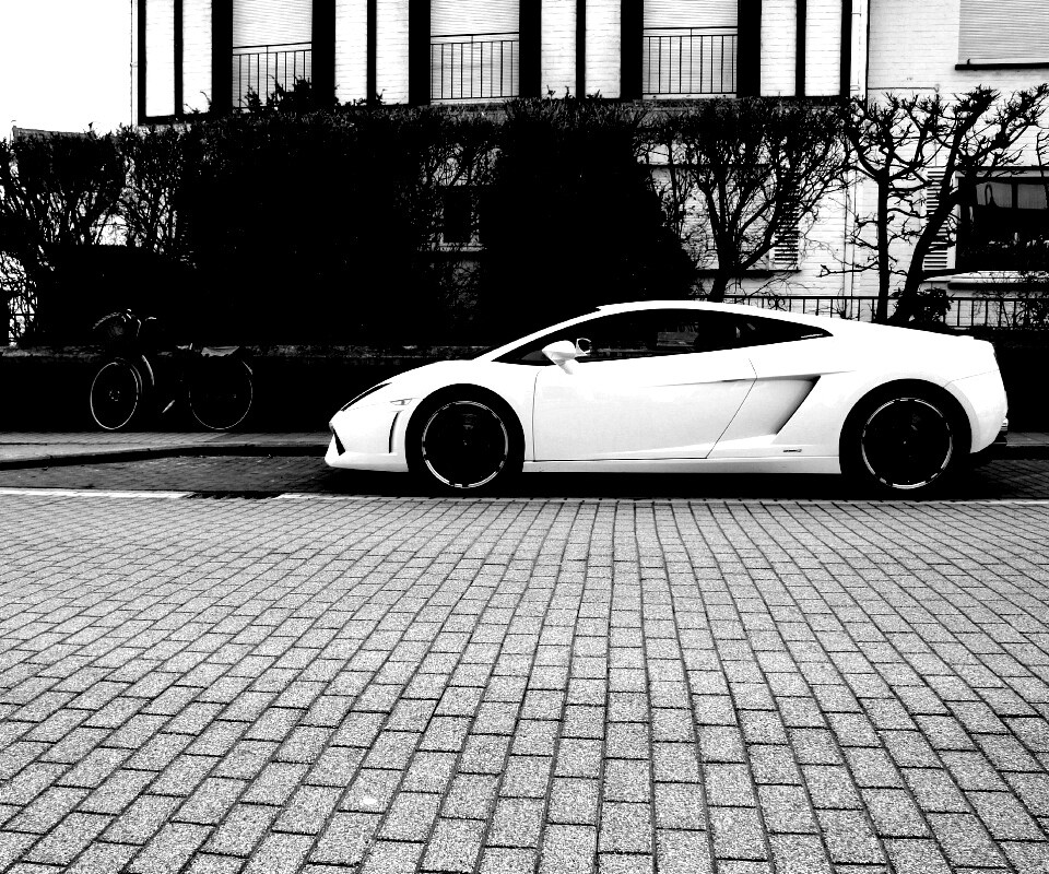Белый Lamborghini обои