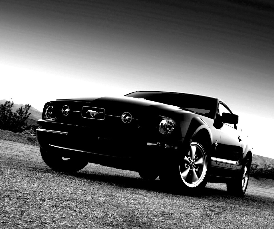 Ford Mustang обои