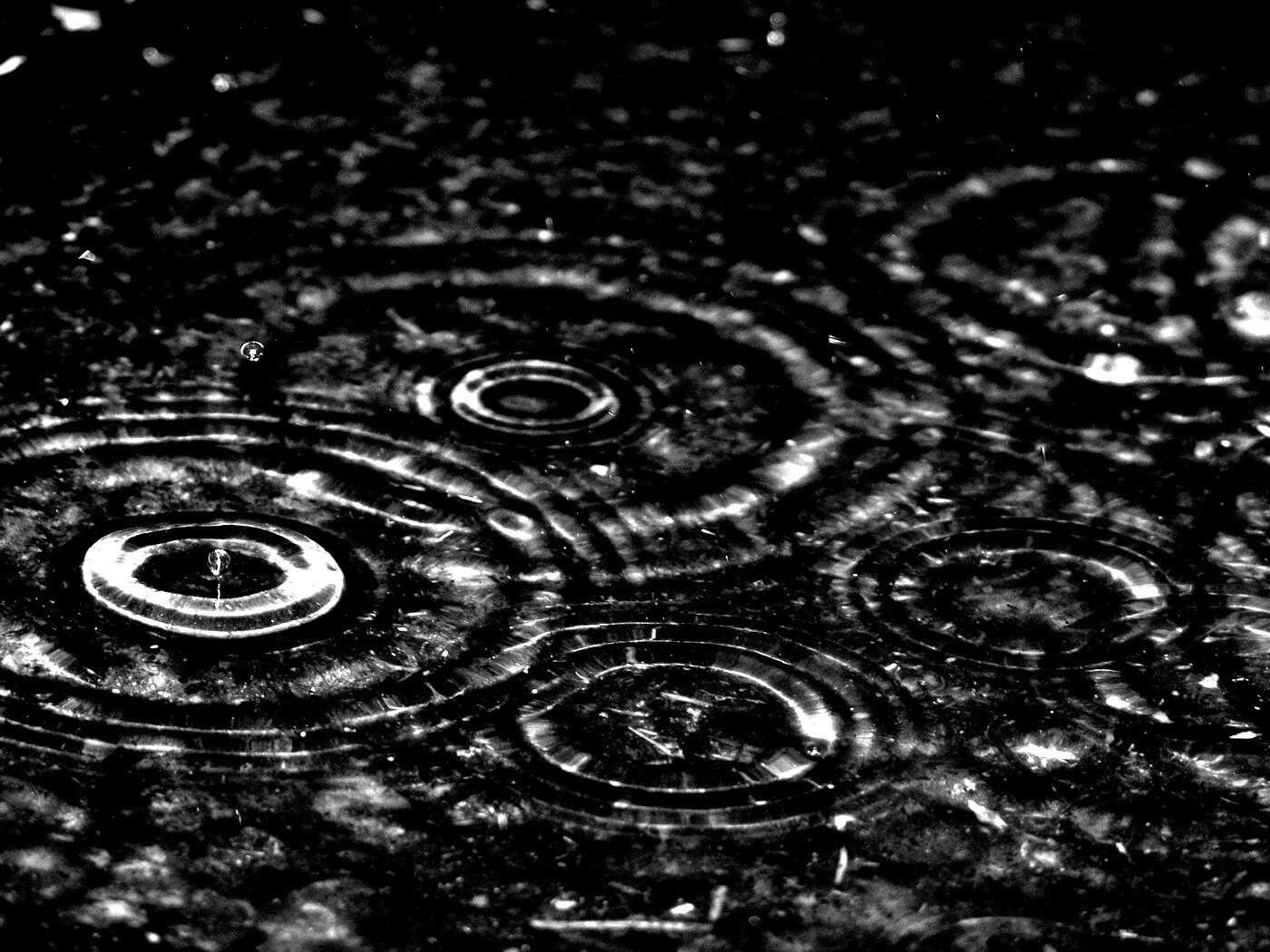 Круги на воде обои